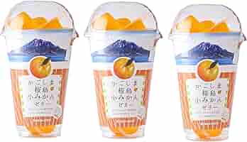 小島 桜島小みかんジュース100％ストレート 200ml 6本セット（ギフト